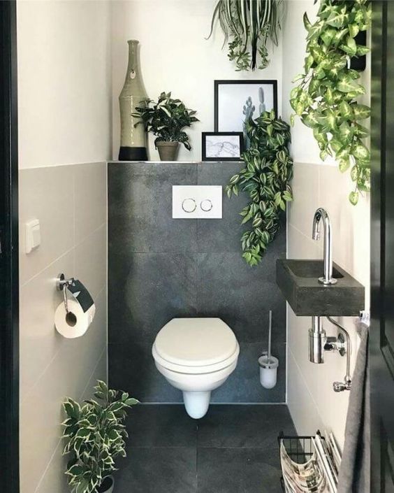 Plantes vertes dans les toilettes