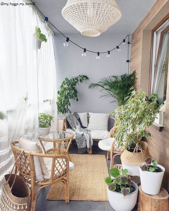 Aménagement de balcon - Plantes